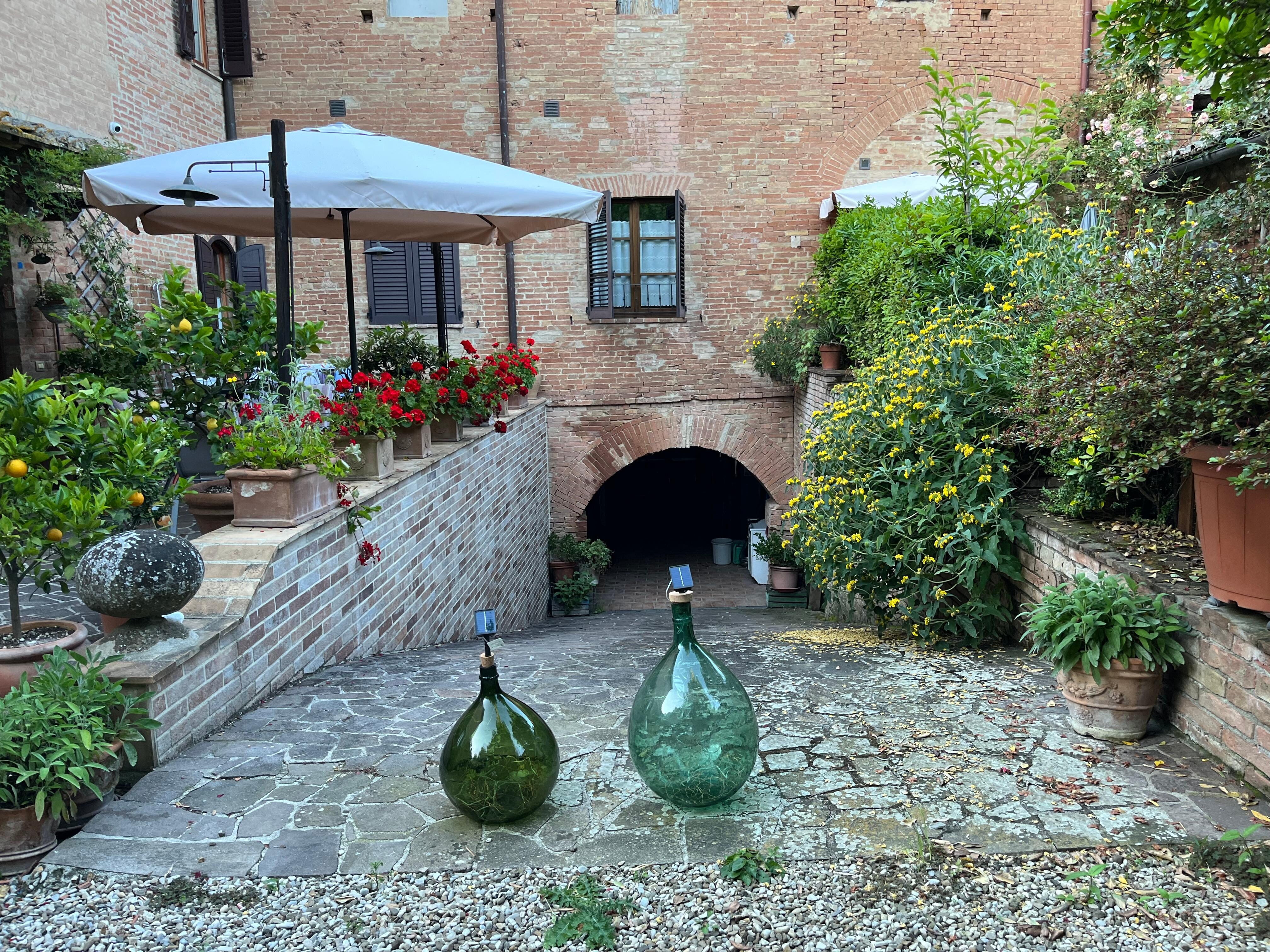 Back garden area