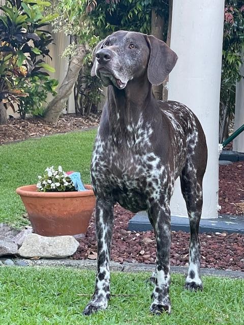 Fully rejuvenated from my get-a-way!