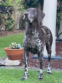 Fully rejuvenated from my get-a-way!