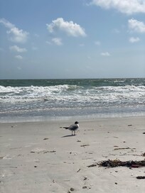 Relaxing Beach time in the sun..