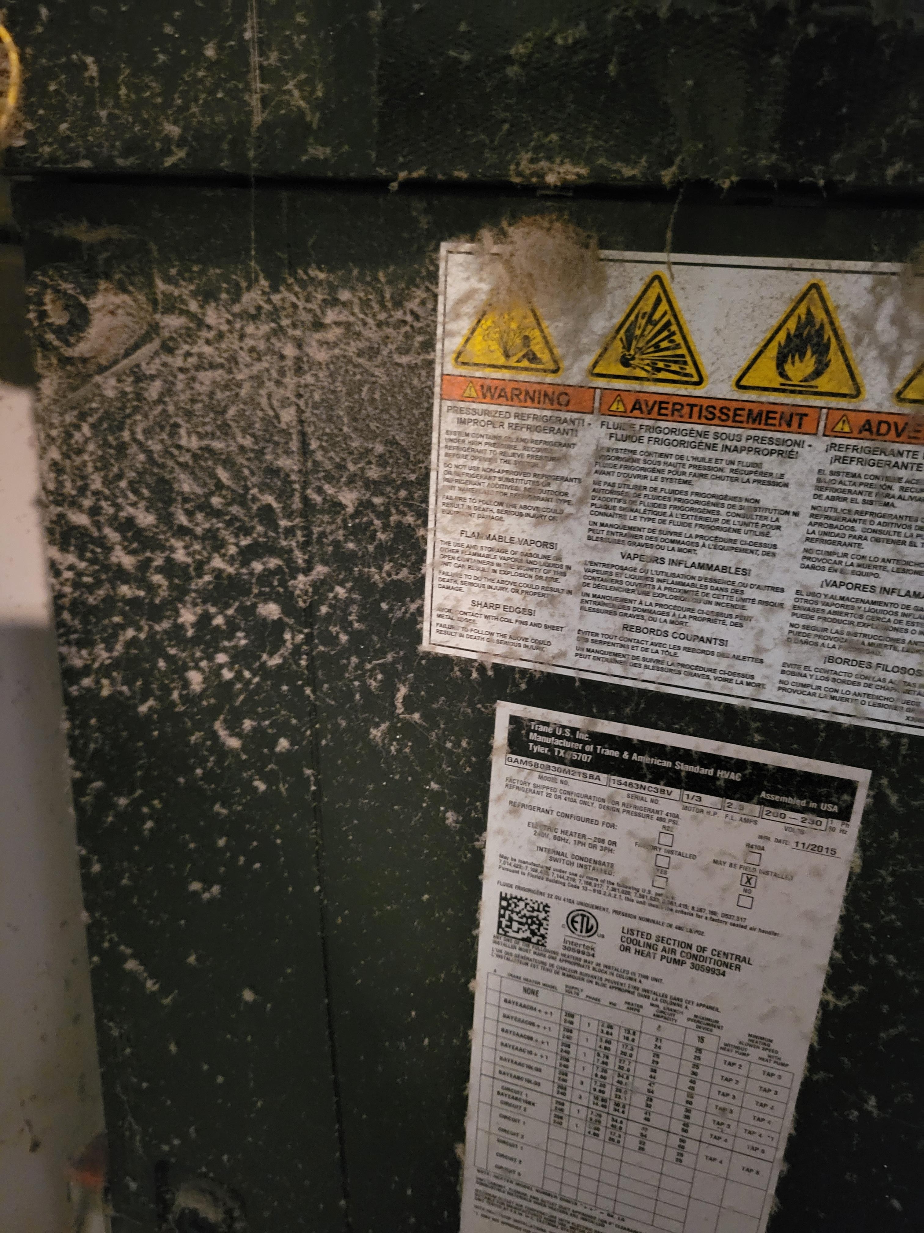 Incredibly thick layers of dust. Clearly untouched for a long period of time. Also found during the search for beach towels.