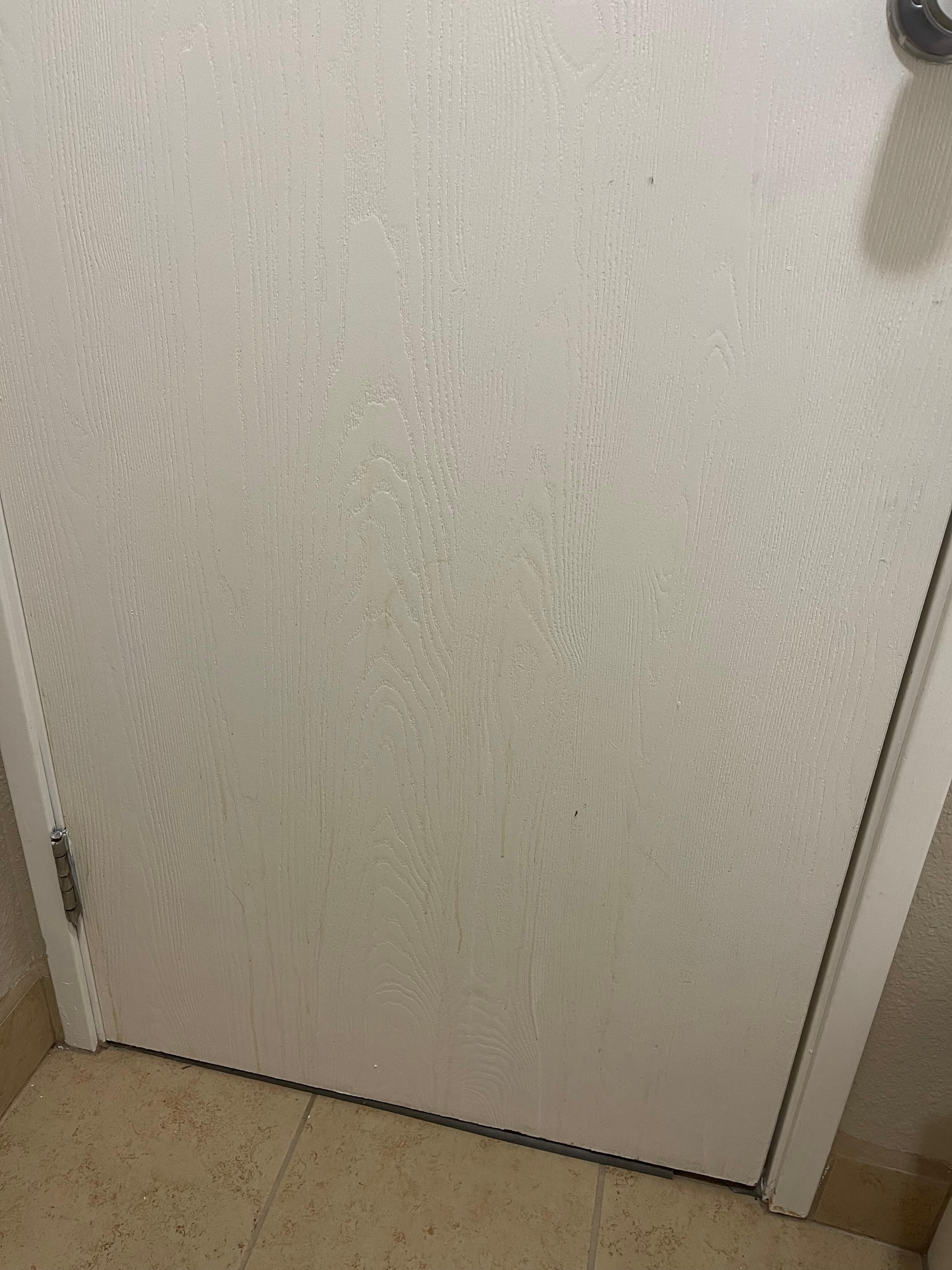 What I’m assuming is pee running down the back of the bathroom door 