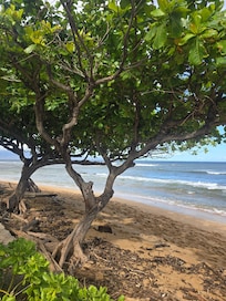 The beach in front of the resort