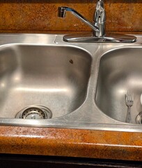 Cockroaches in sink and counters in the kitchen