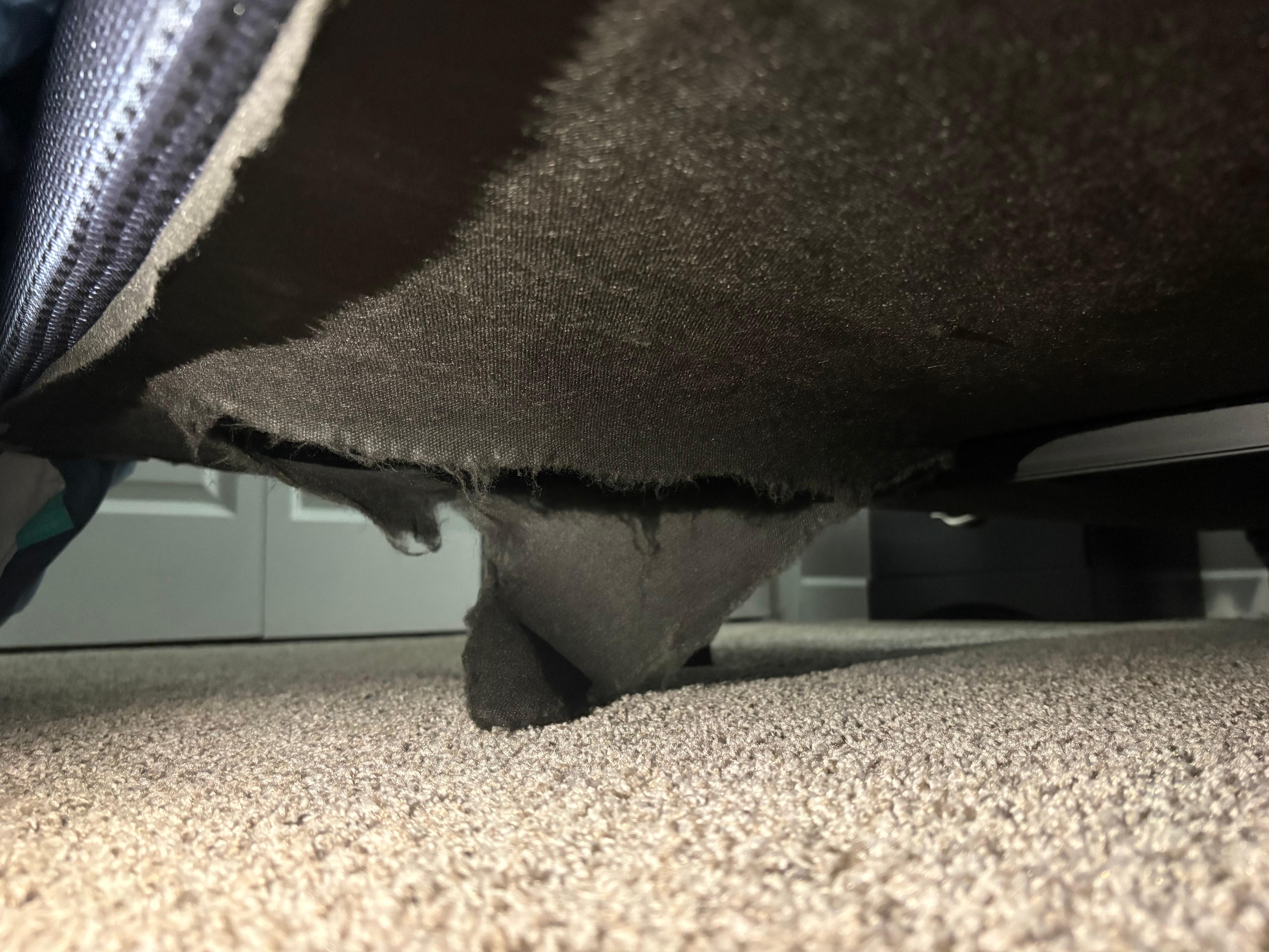 Where we think the snake may have gone. 