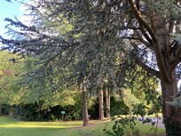 Some of the grounds.