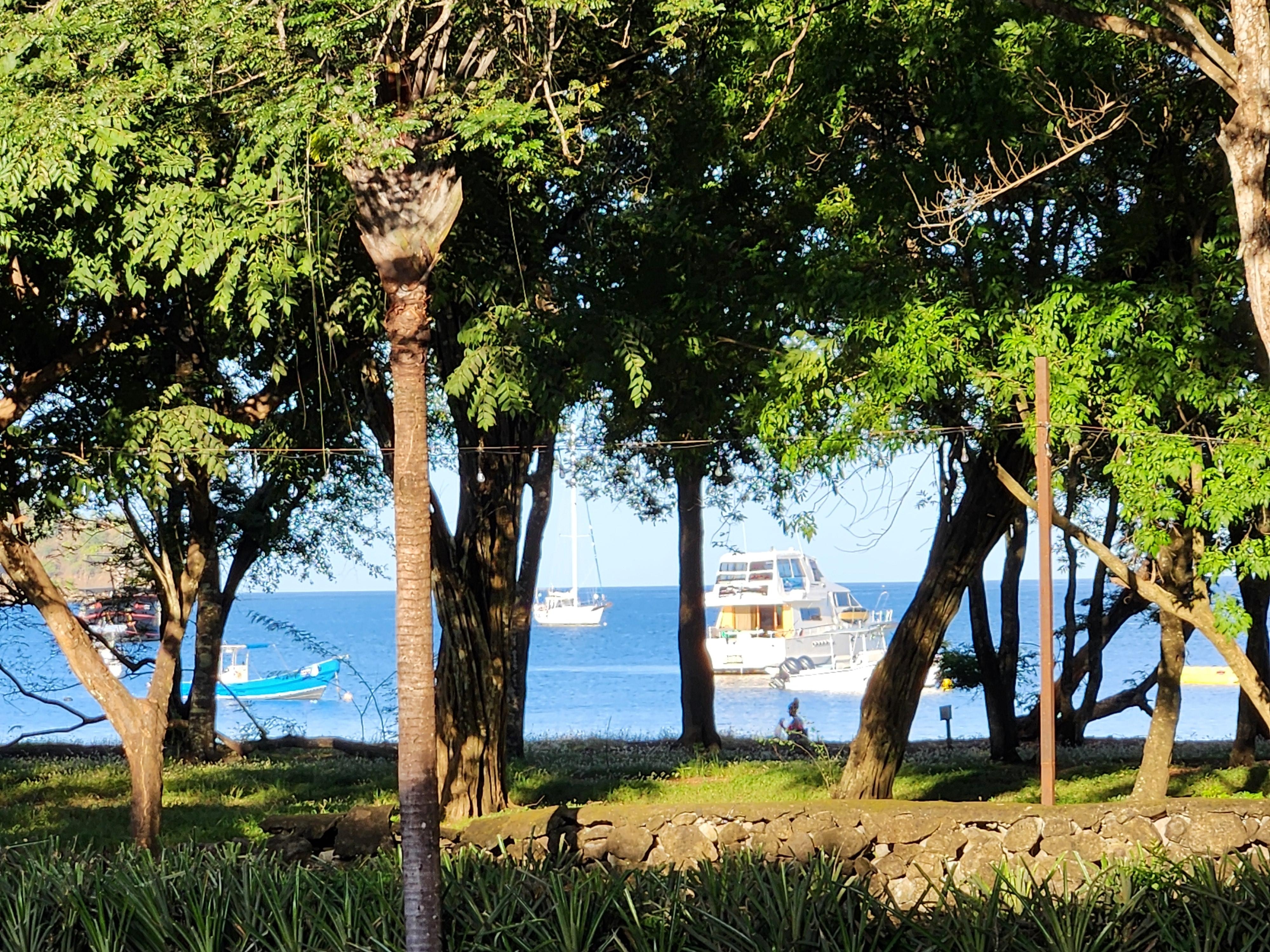 View from dining area. 