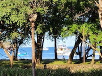 View from dining area.