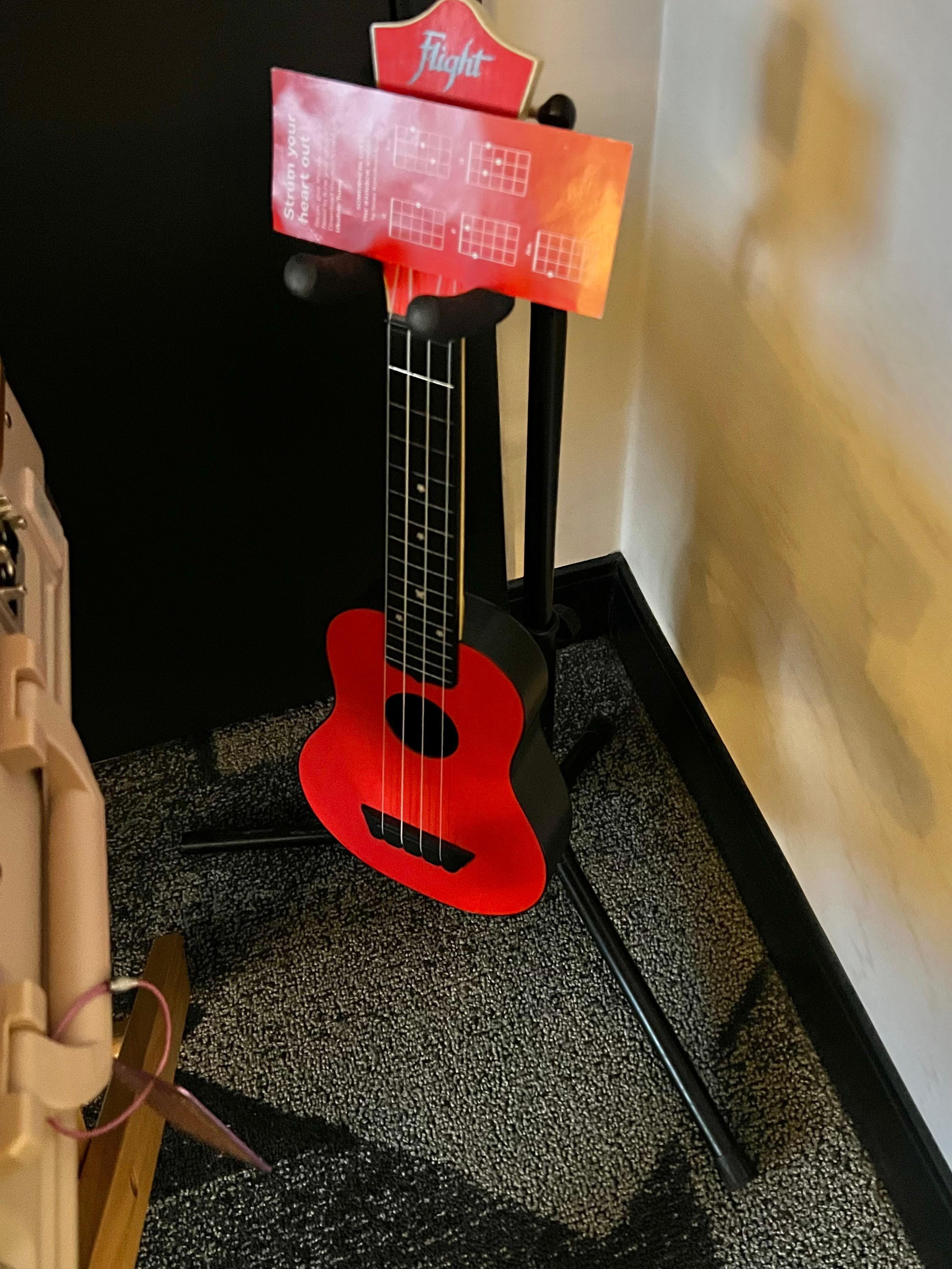 Ukulele in every room!