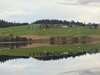 Across the fjord from the cabin