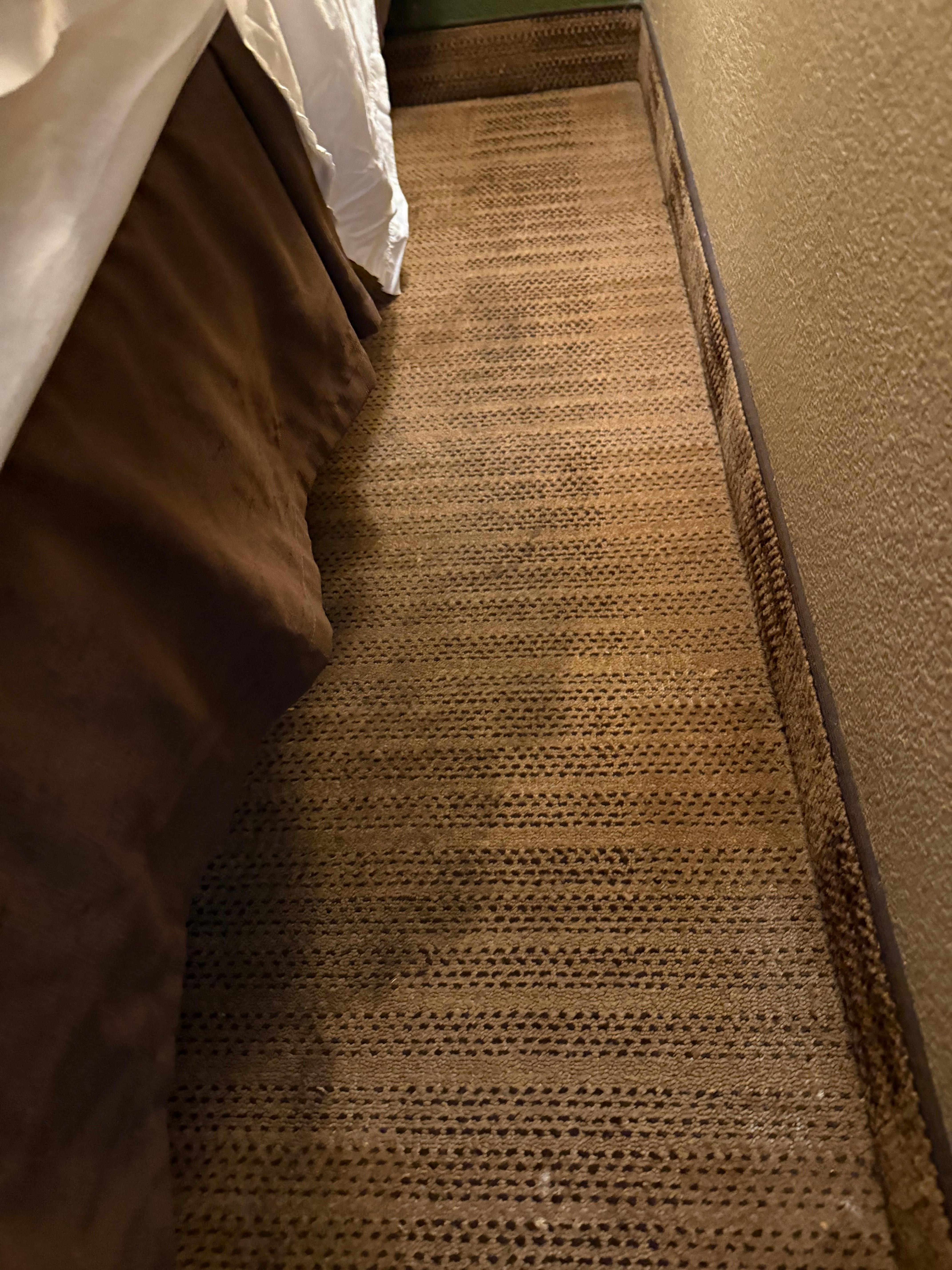 More disgusting stained carpet. Dirty!!!