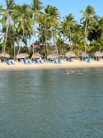 water was so muddy, you don't see a thing under, never expect that . I was going to LaRomana for well known beautiful beaches. but not on this resort