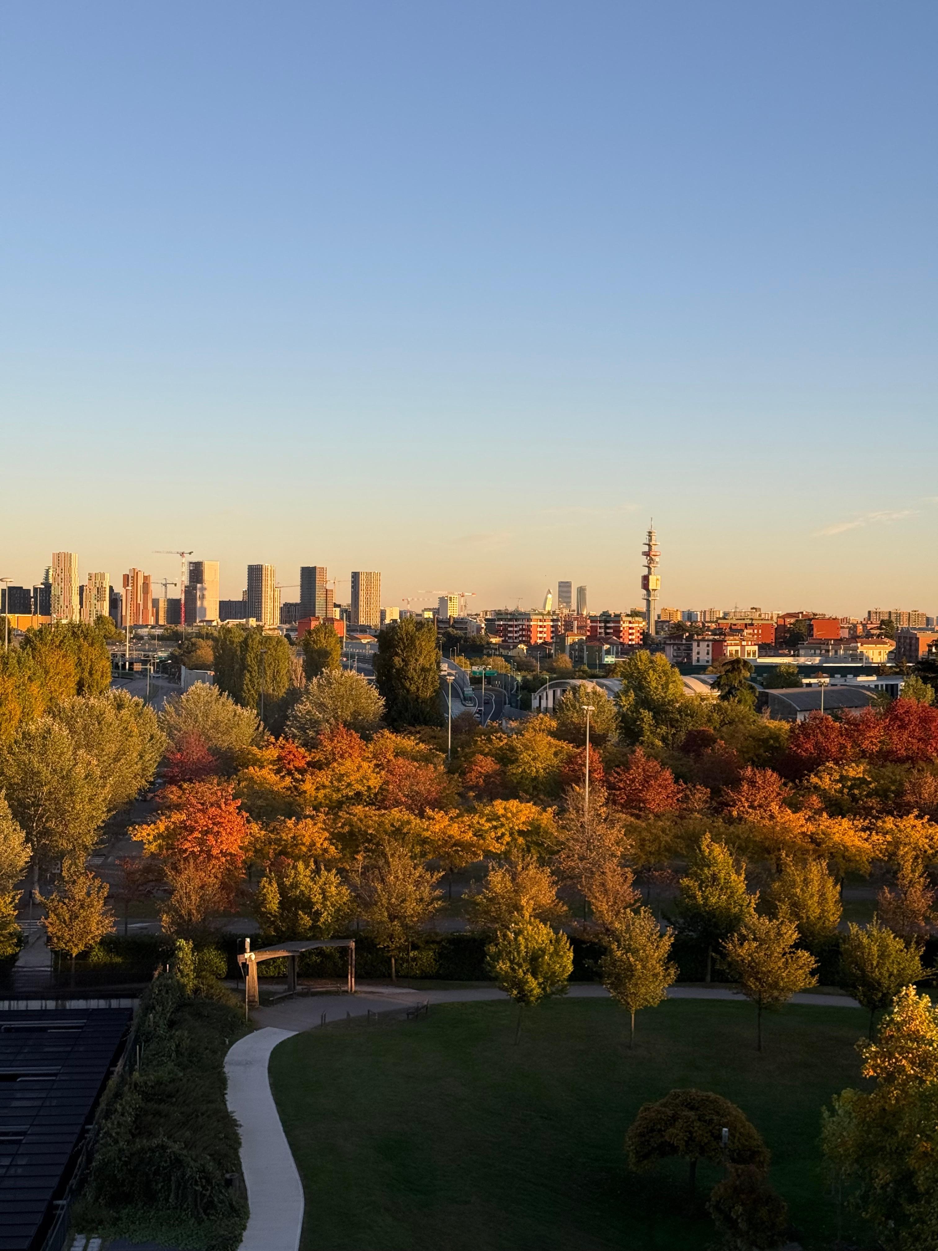 La vista desde mi habitación 