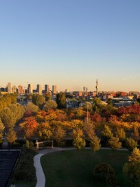 La vista desde mi habitación