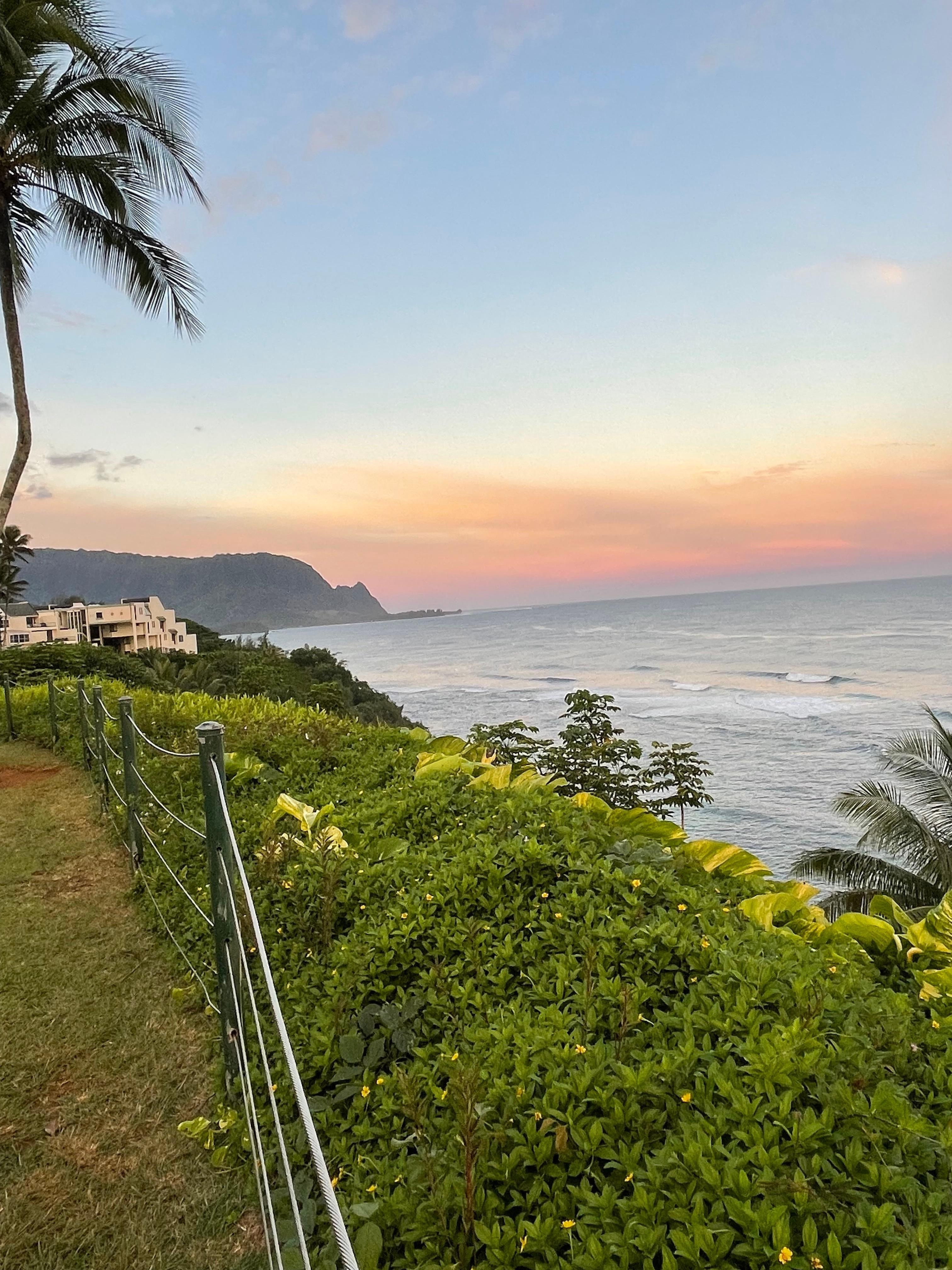 From lookout back towards condo complex. 