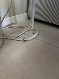 Cockroach in living room. Live one killed on kitchen countertop