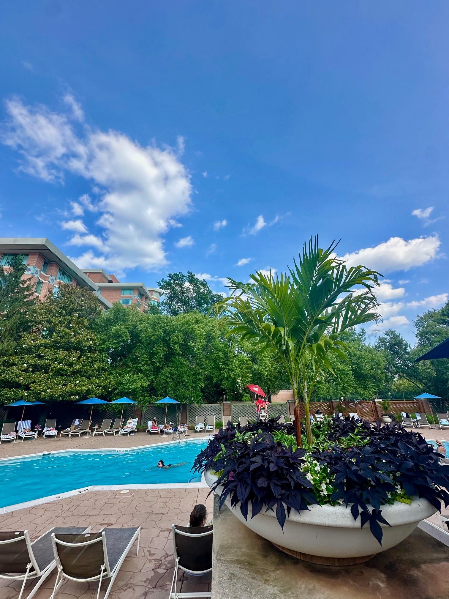 adults only pool