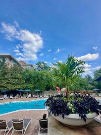 adults only pool
