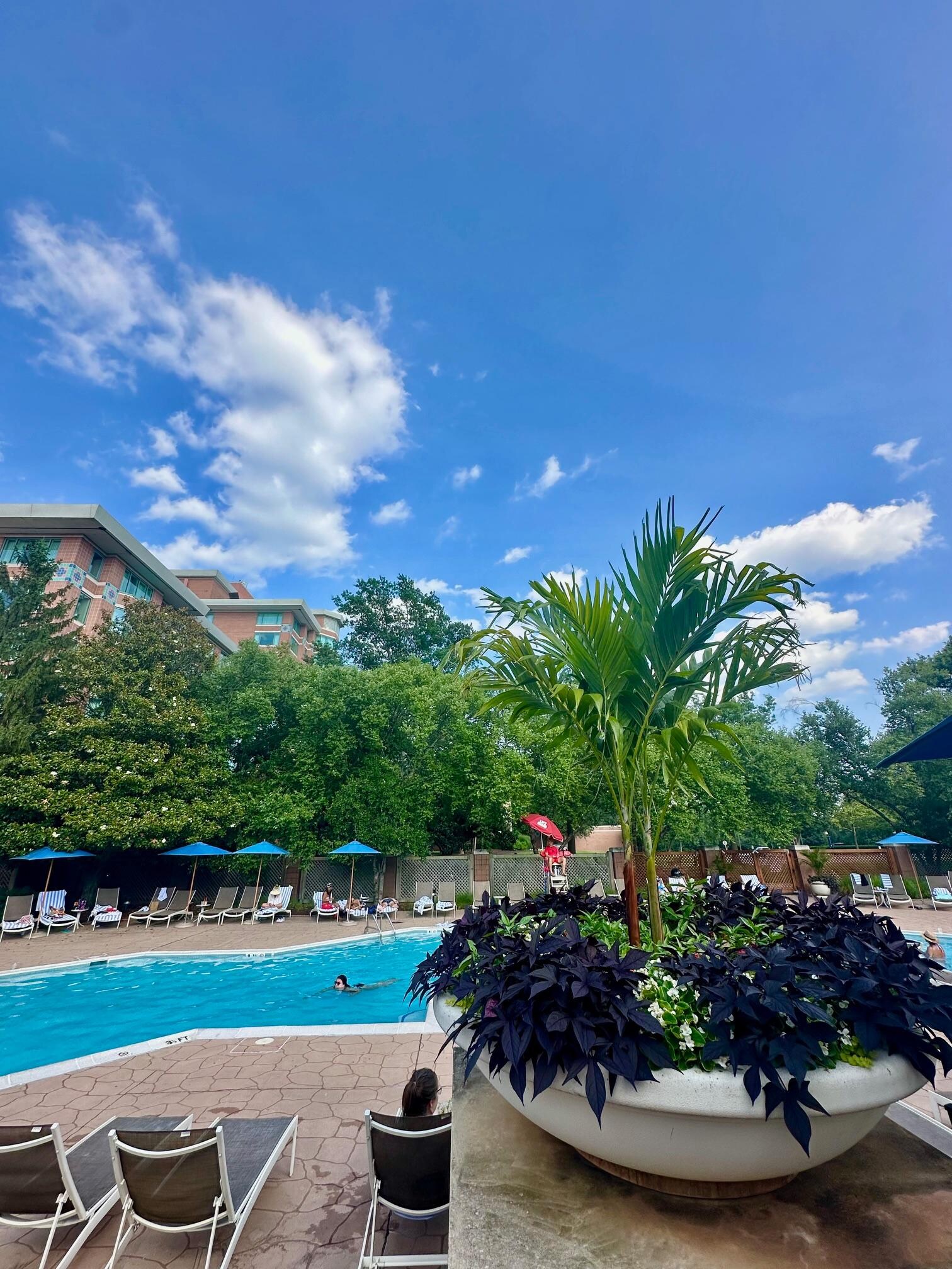 adults only pool