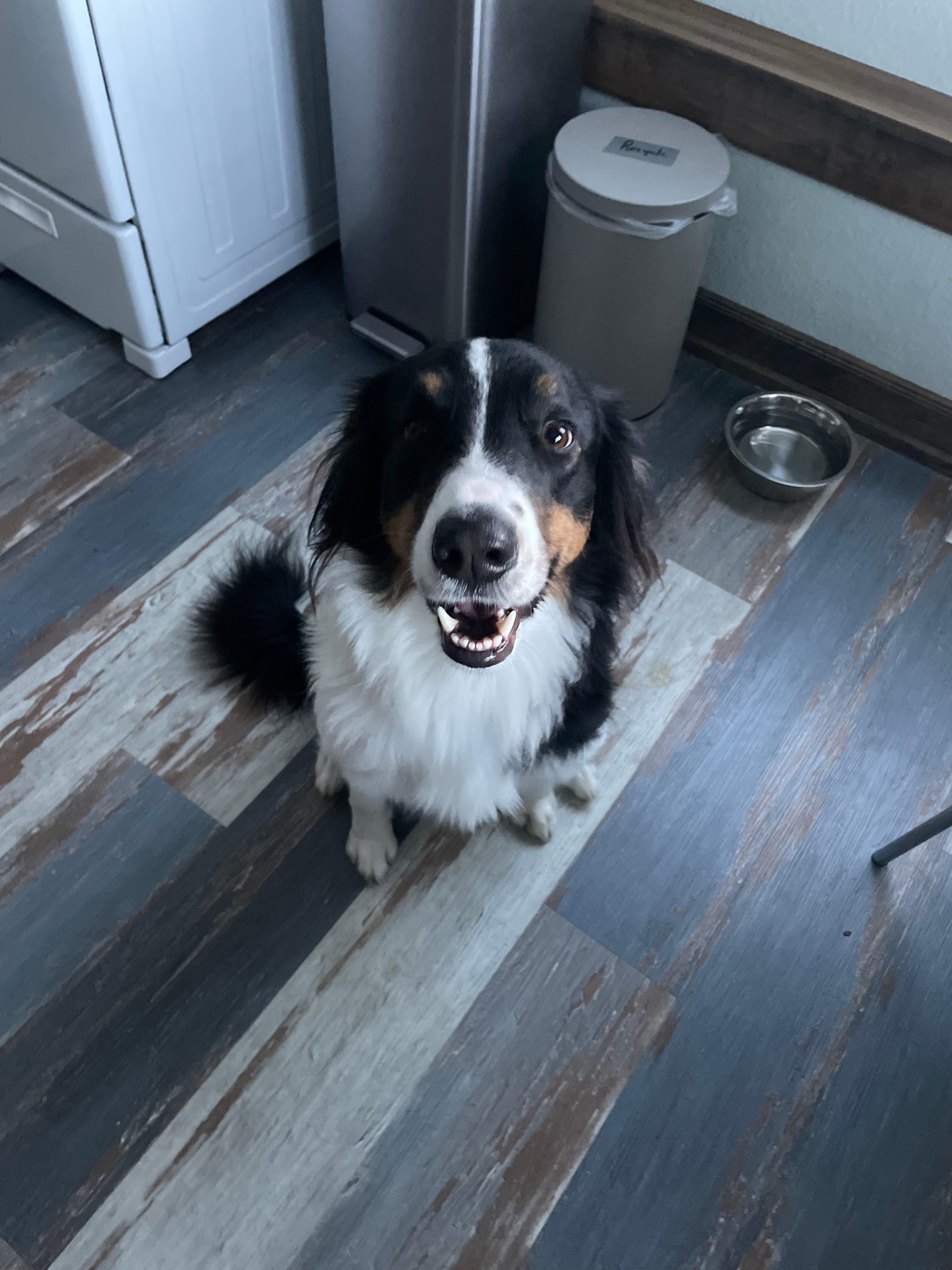 Clover excited for her first day on vacation.