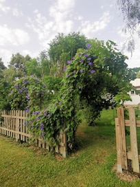 Poolzugang