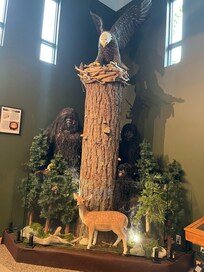 Sasquatch Museum