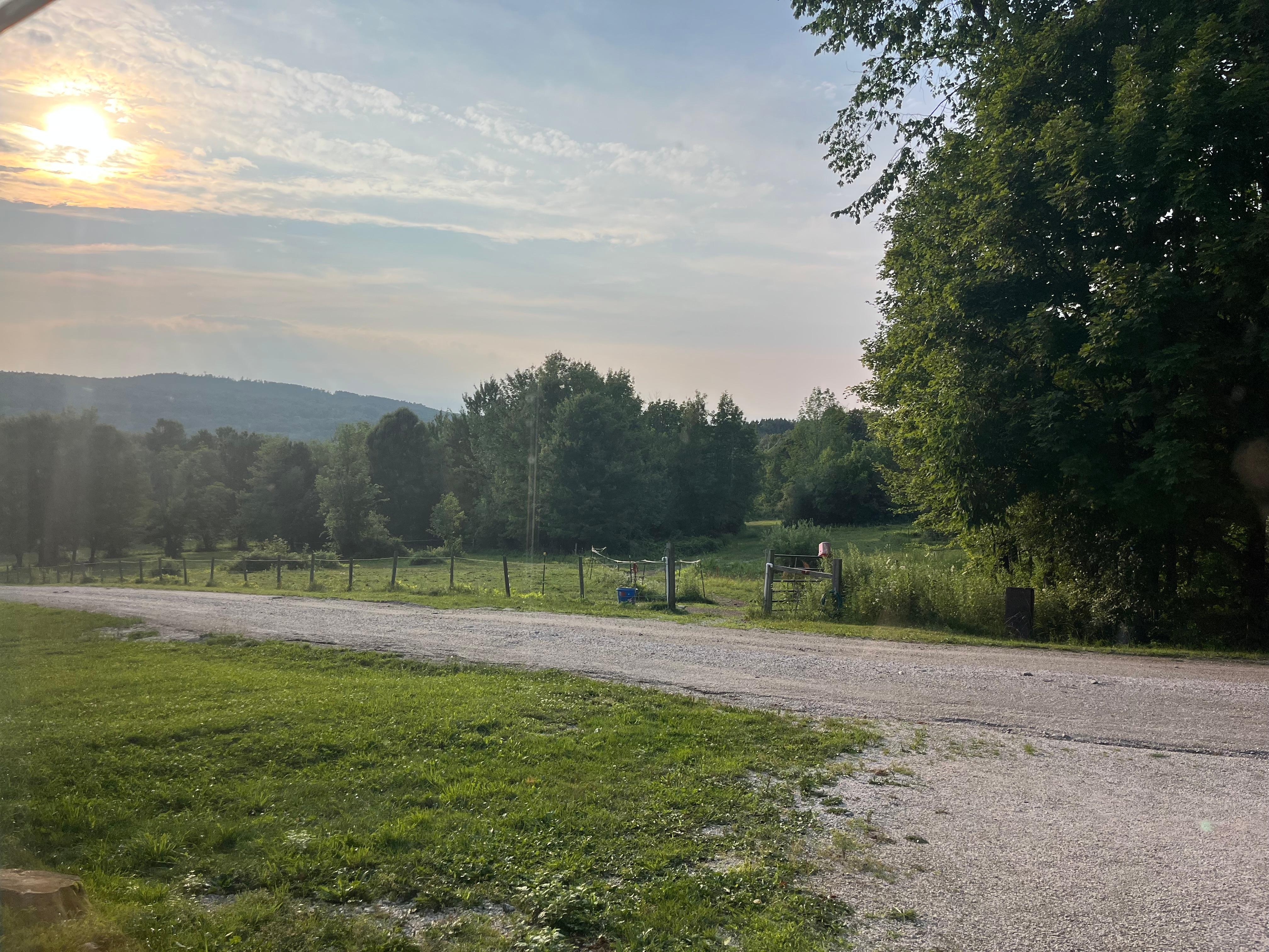 View from front window. 