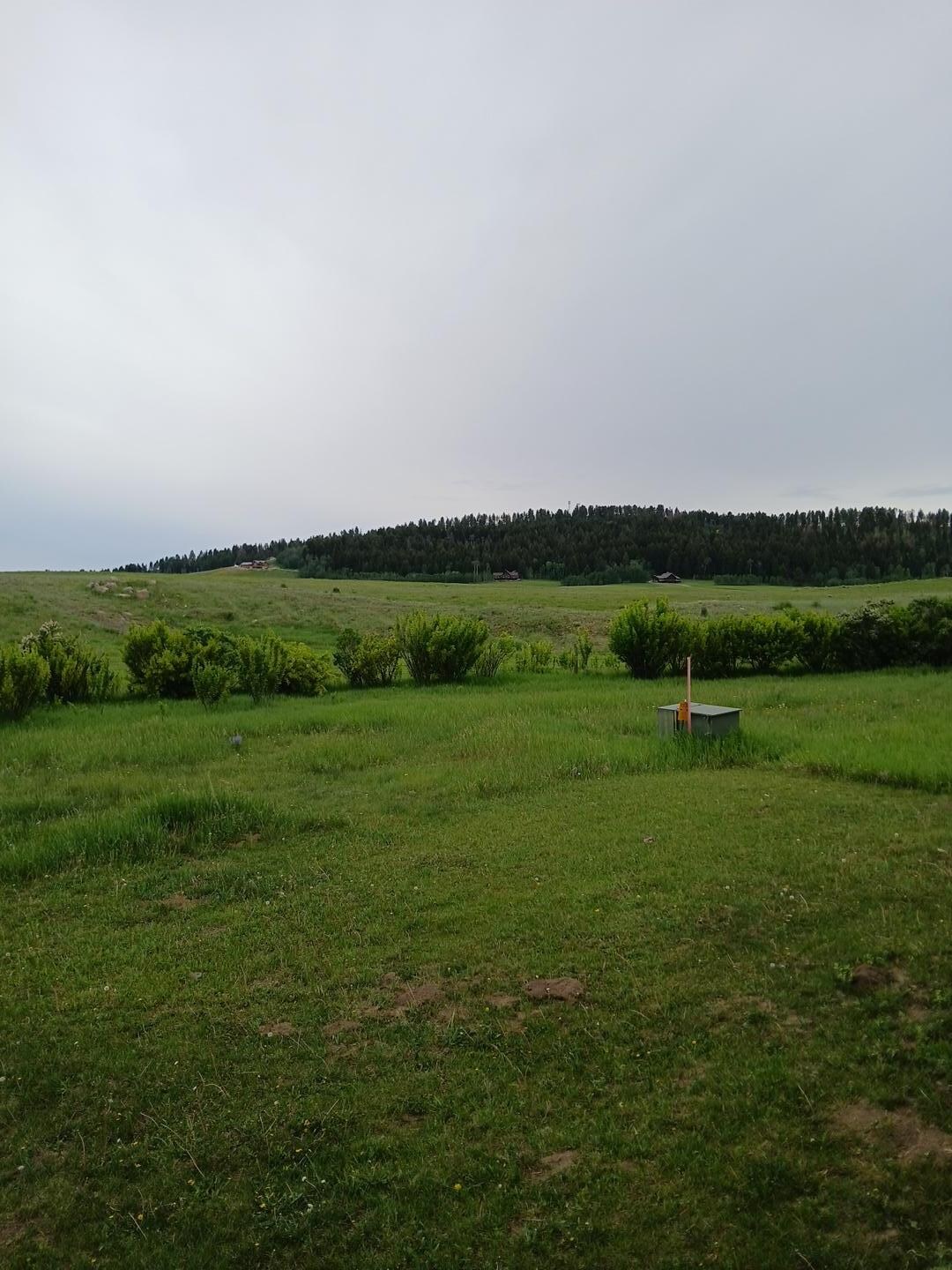 View in the back. 