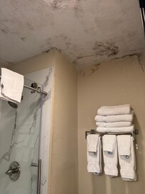 First bathroom with moldy ceiling.