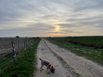Peaceful and remote location