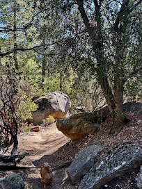 Trail at Nature Center, dog friendly