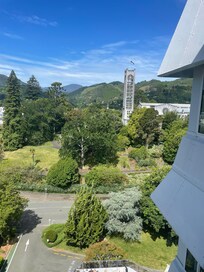 Looking toward cathedral