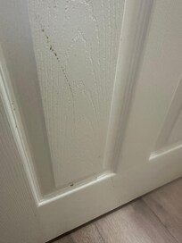 House keeping should be fired