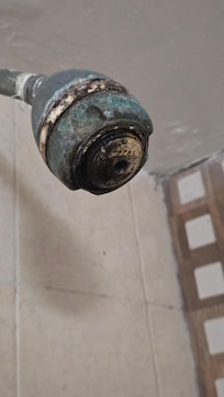 La.bonita regadera llena de.hongos y enfermedades