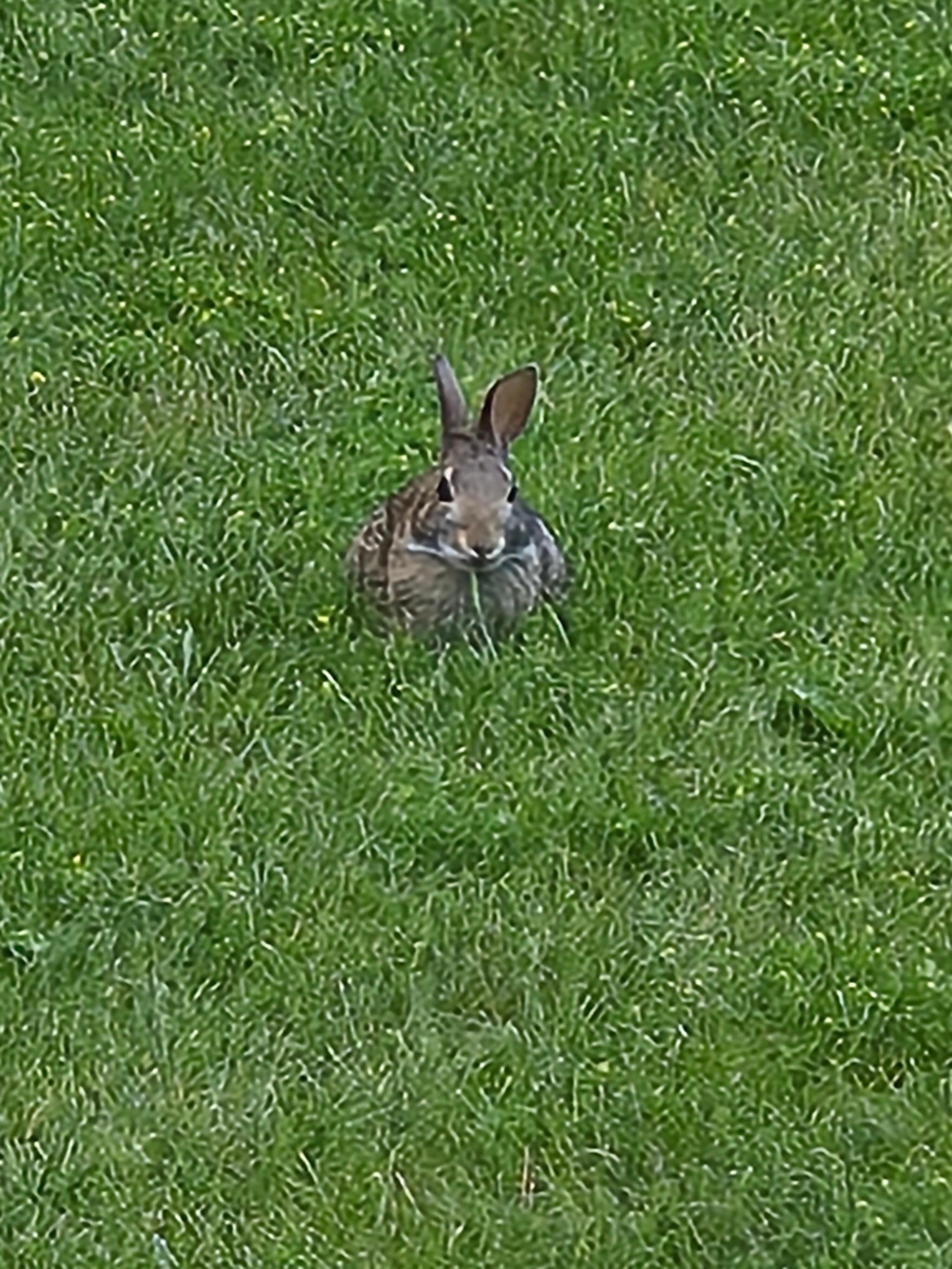 Friend in back yard