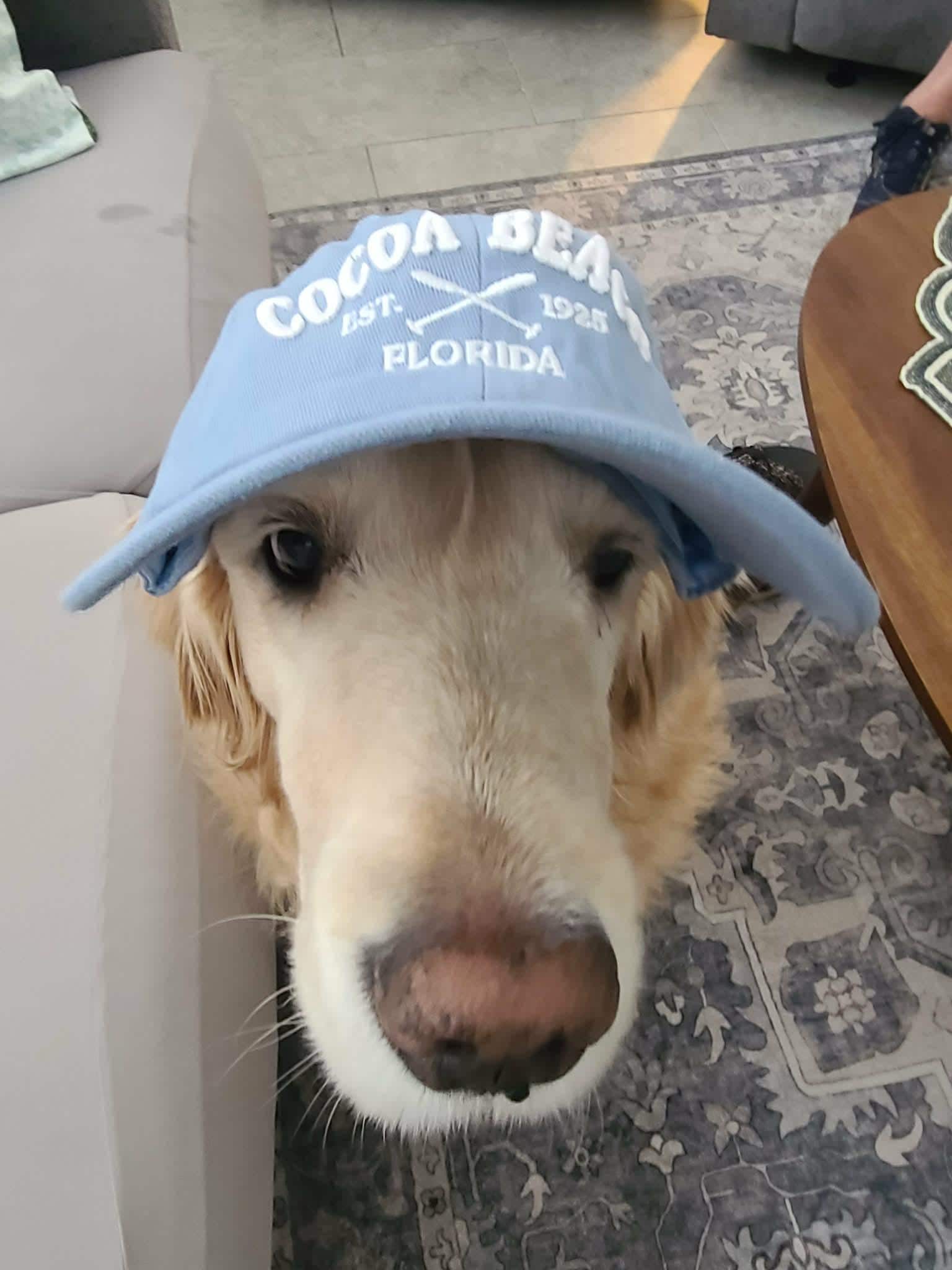 Miss Sierra enjoying her stay