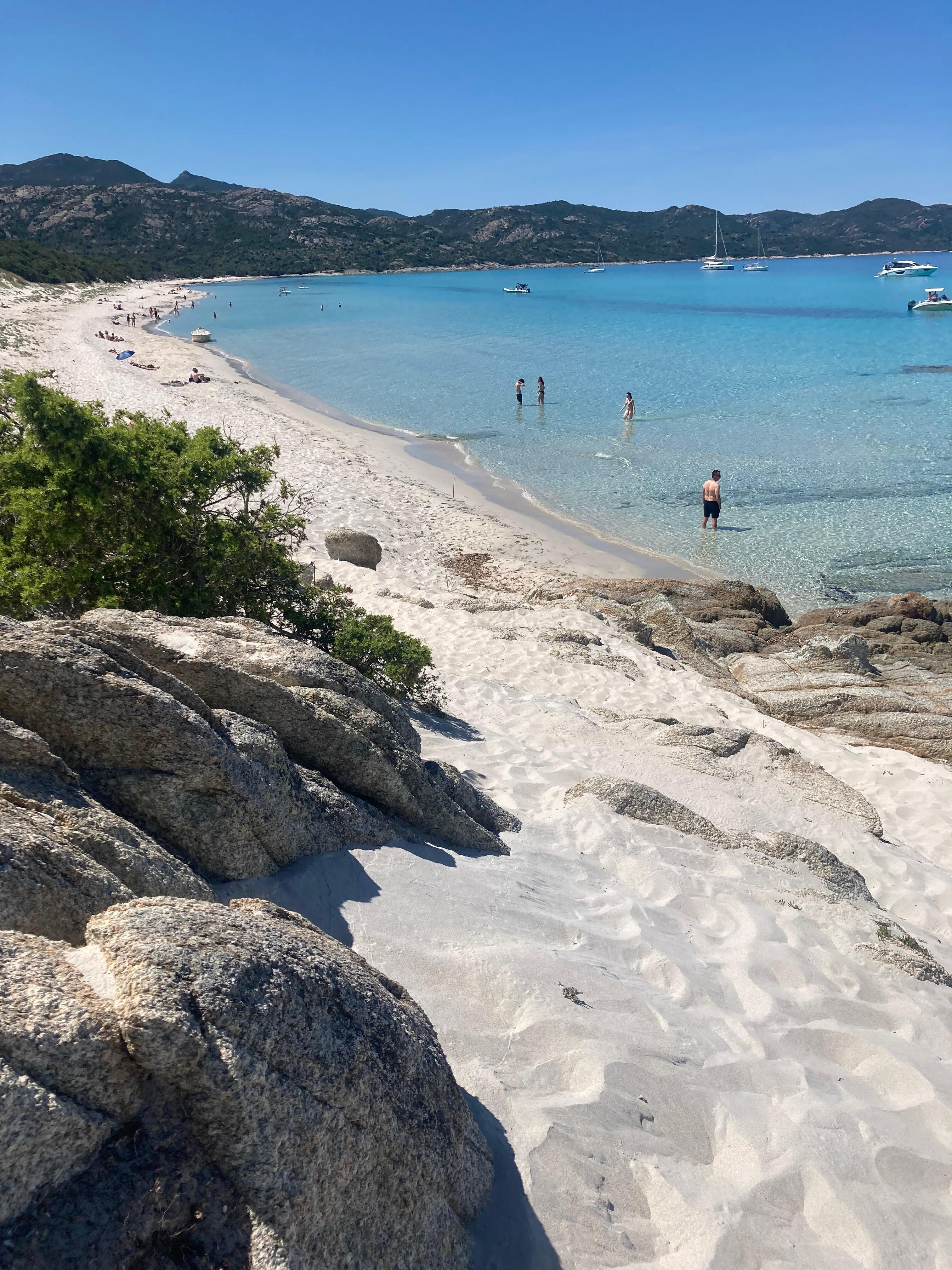 Saleccia