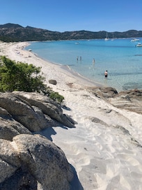 Saleccia