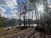 view of the pond from the porch.