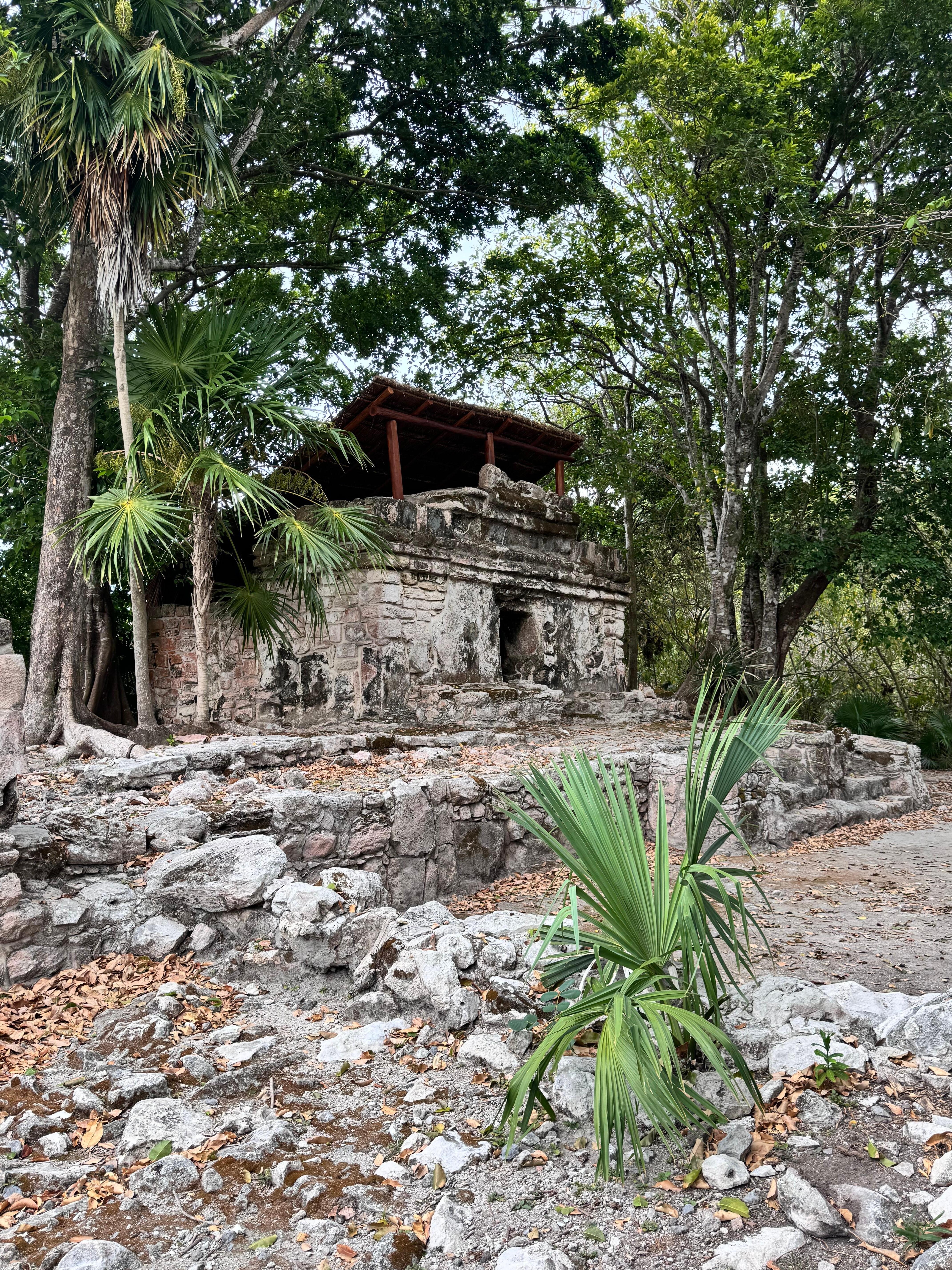 Ruins on the territory of the hotel