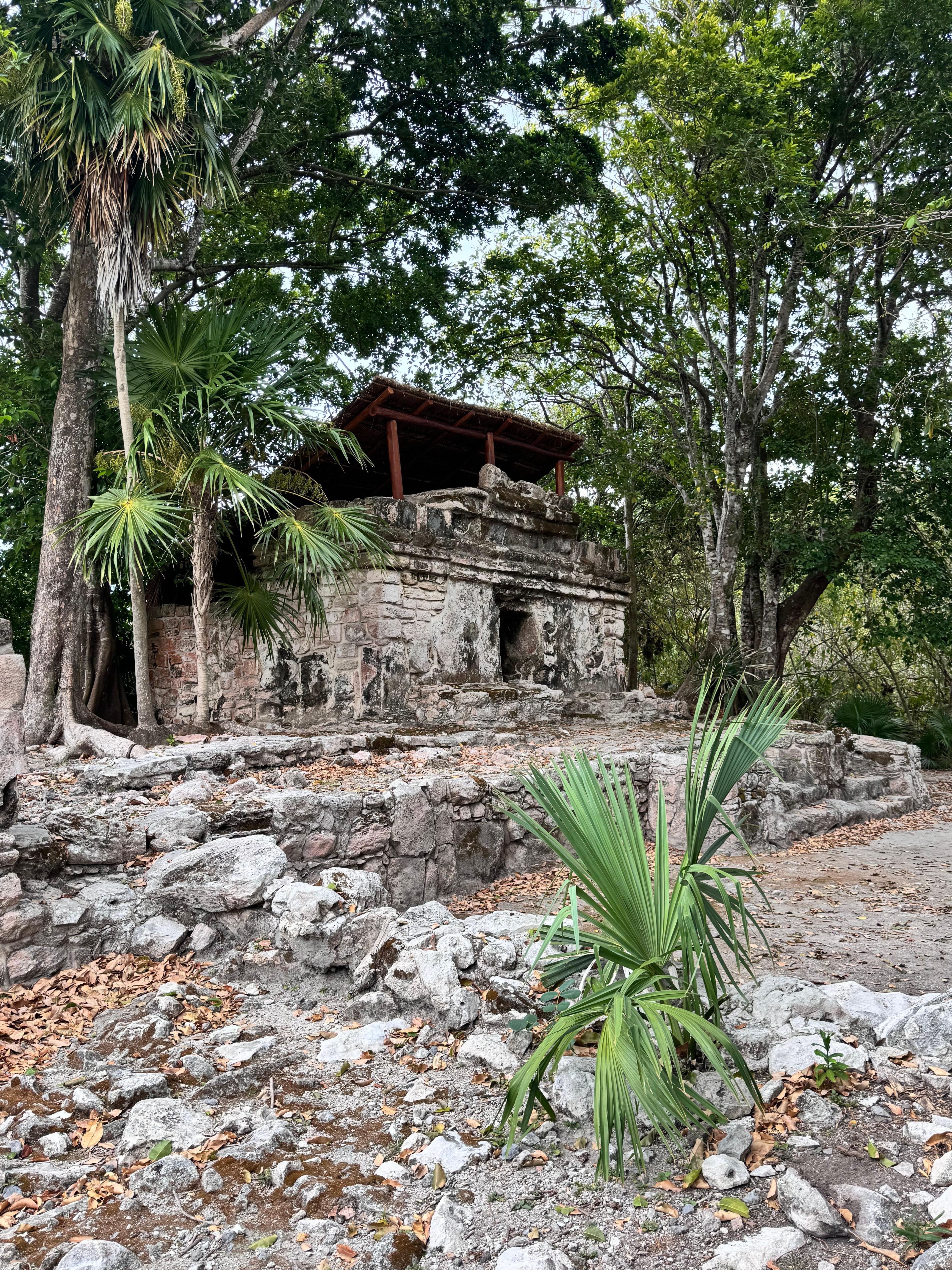 Ruins on the territory of the hotel