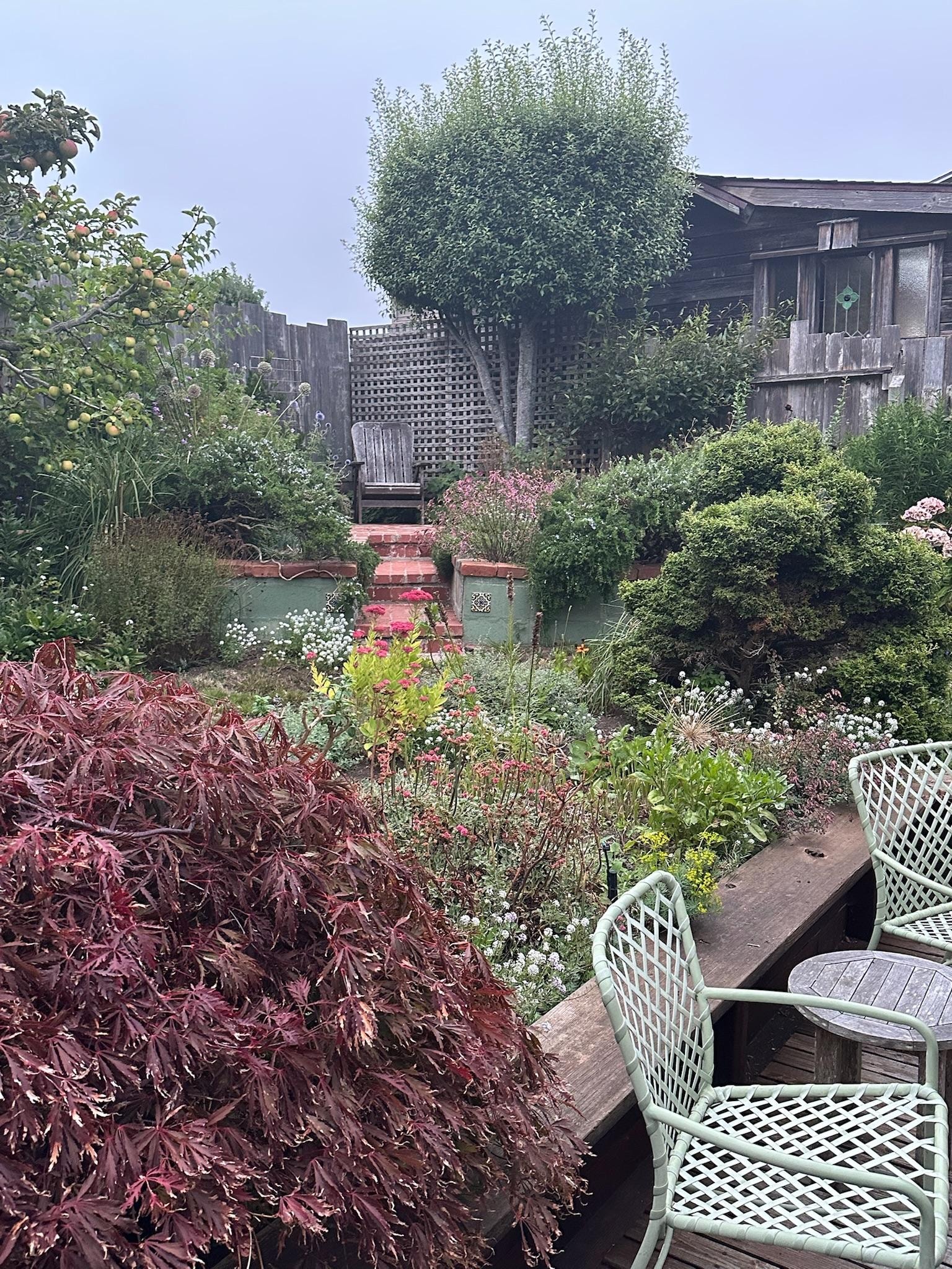 A small part of the garden