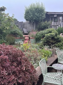 A small part of the garden