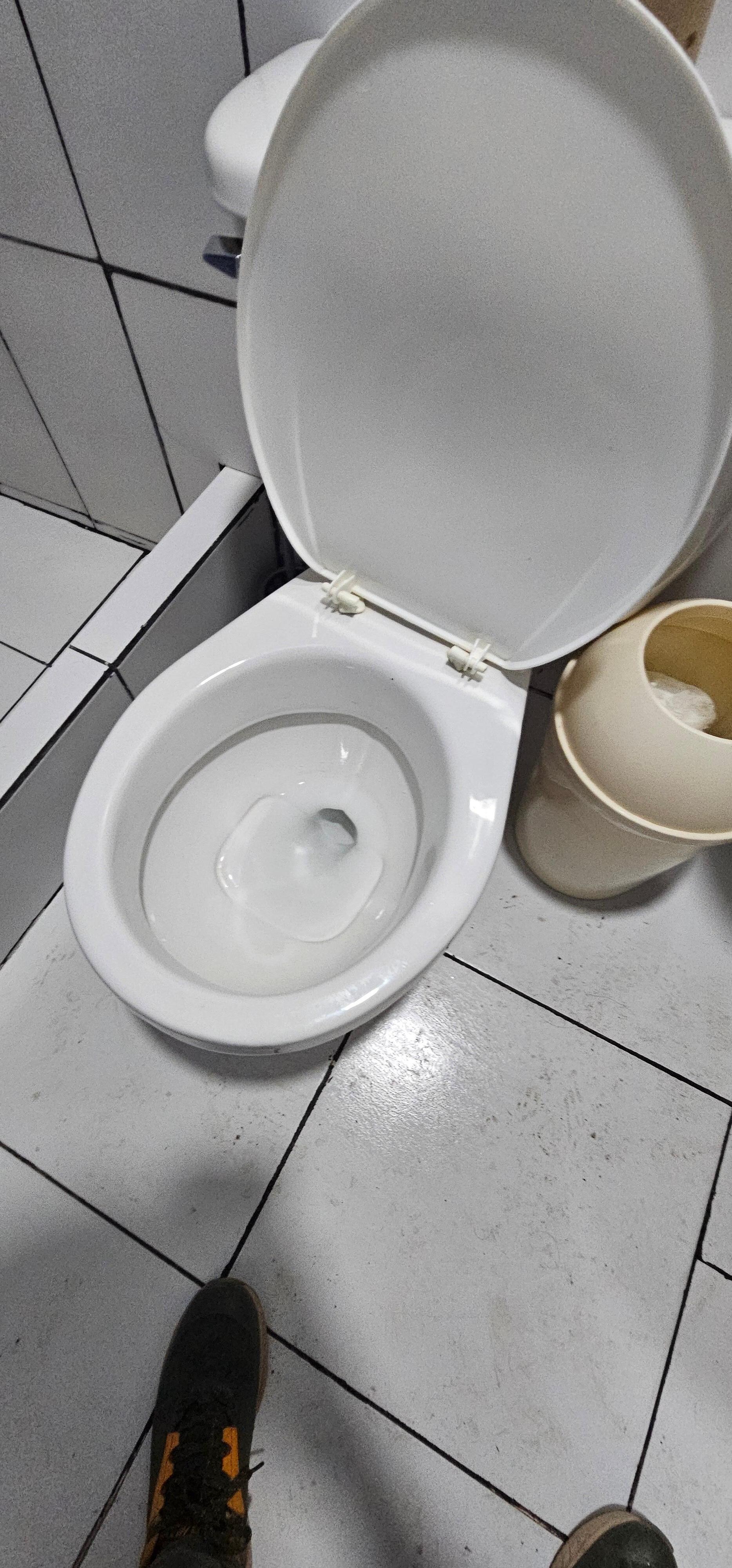not toilet seat