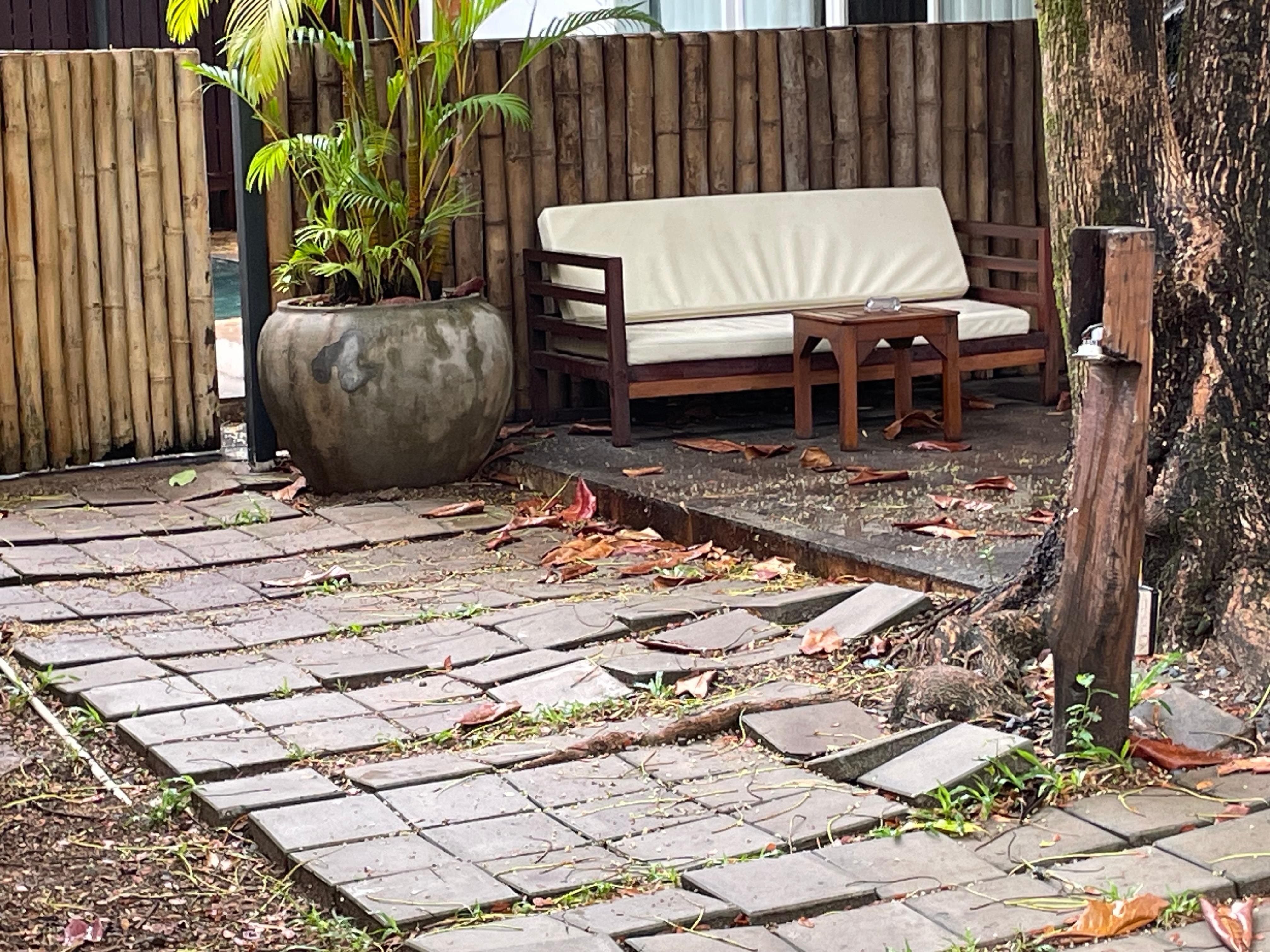 Accès à notre bungalow 