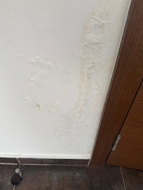 Mur derriĂšre porte salon