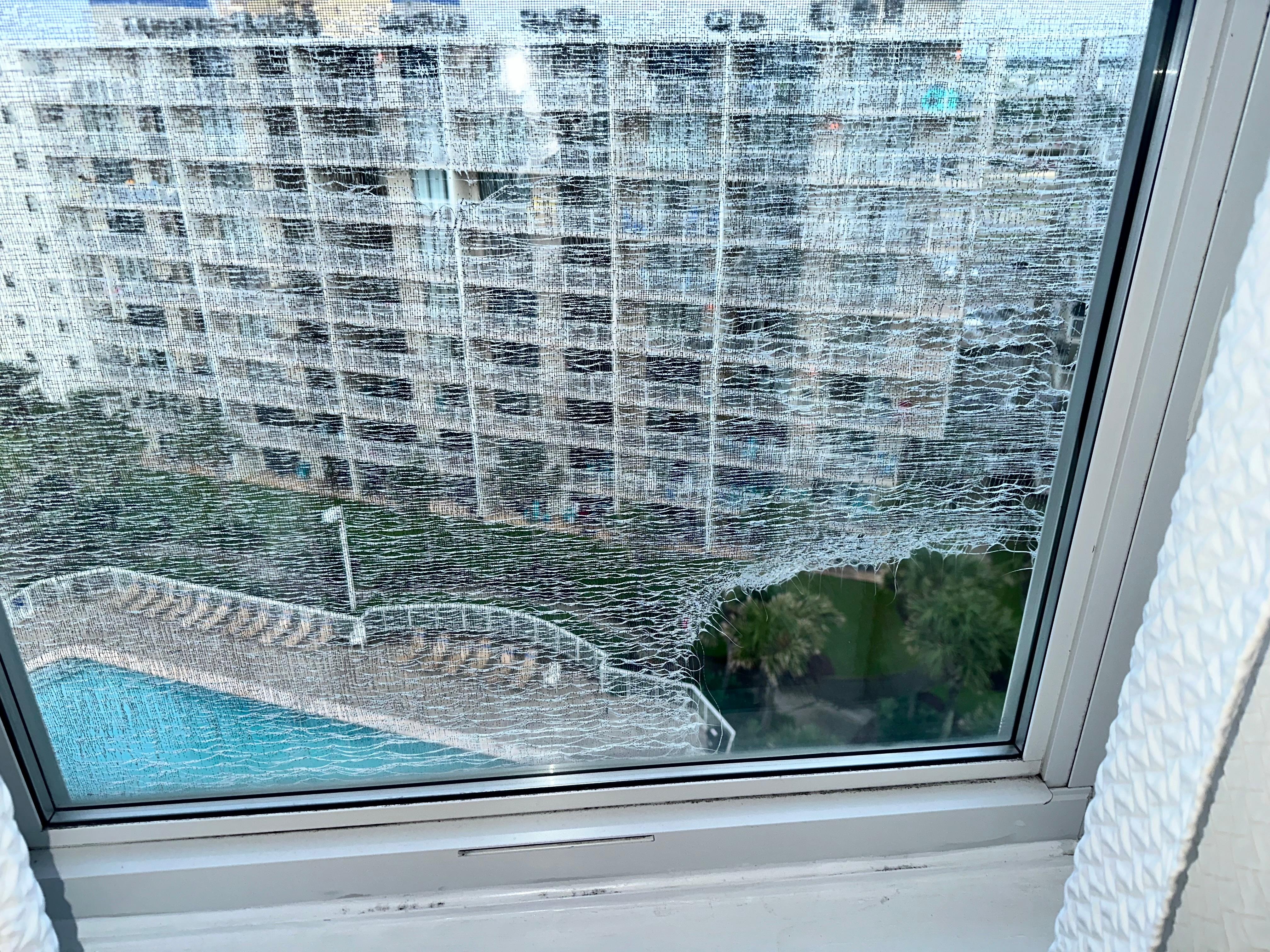 Weathered window screen 