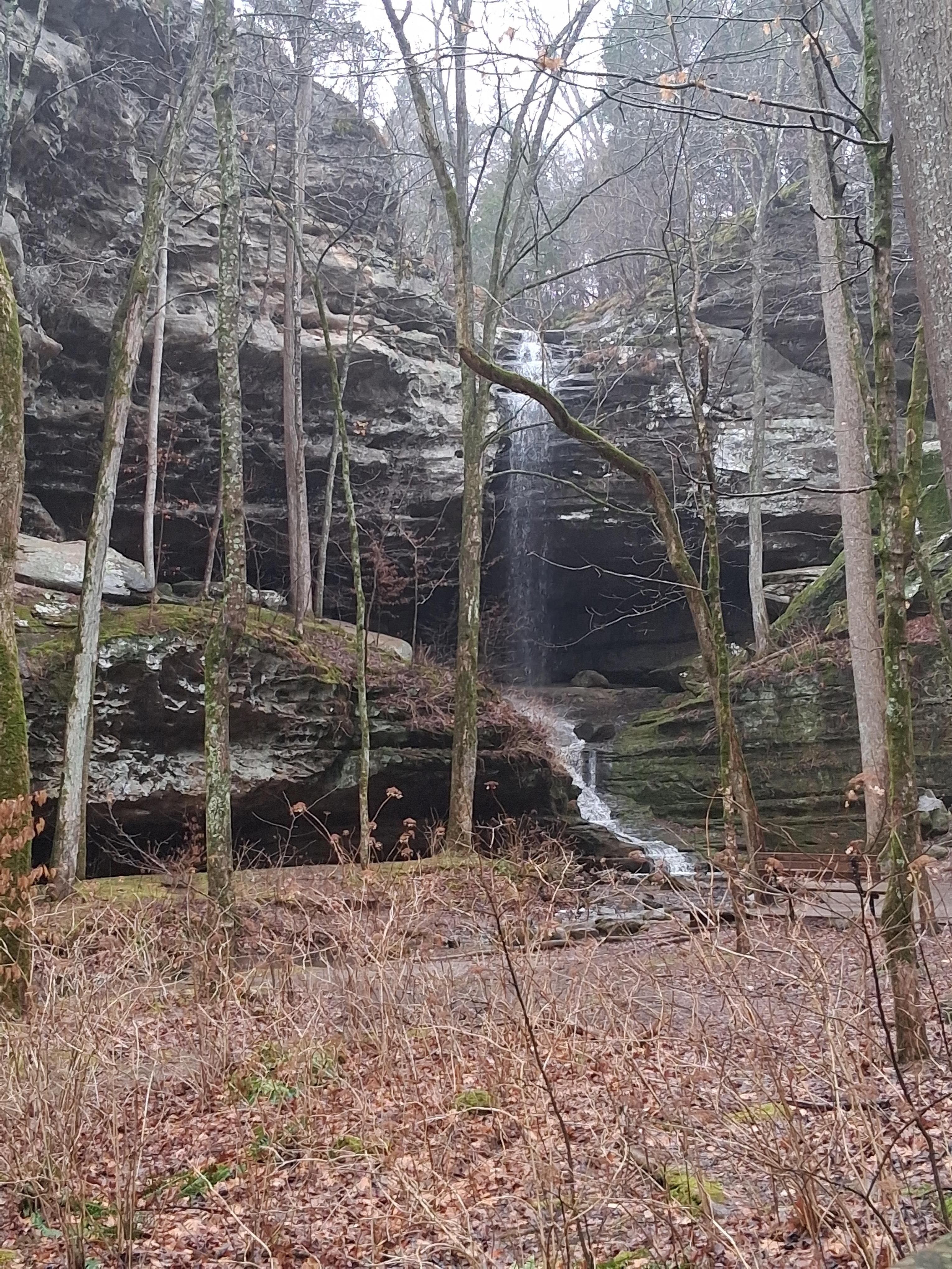 Fern Clyffe State Park