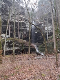 Fern Clyffe State Park