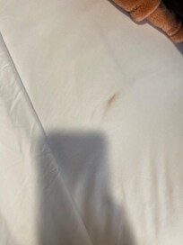 Stain on comforter